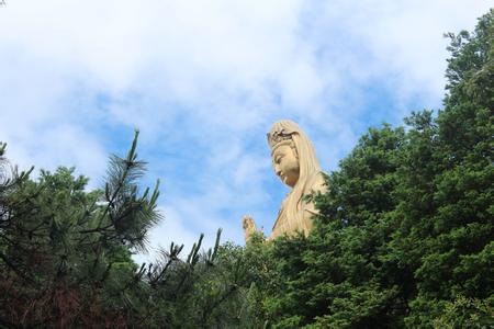 海天佛國普陀山、普濟寺、南海觀音 三天雙飛朝圣之旅PT-01